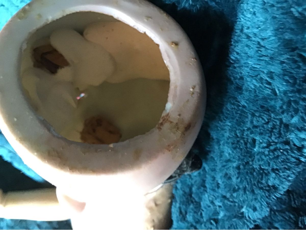 Bambole: Antike Porzellankopf Puppe – Usato da St. Gallen venduto da Goldlilly 5