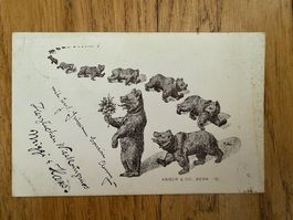 Antike Postkarte, Bärenkarte, Kaiser & Co. Bern, 1907