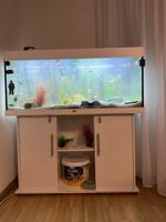 Juwel Aquarium 240L mit Unterschrank