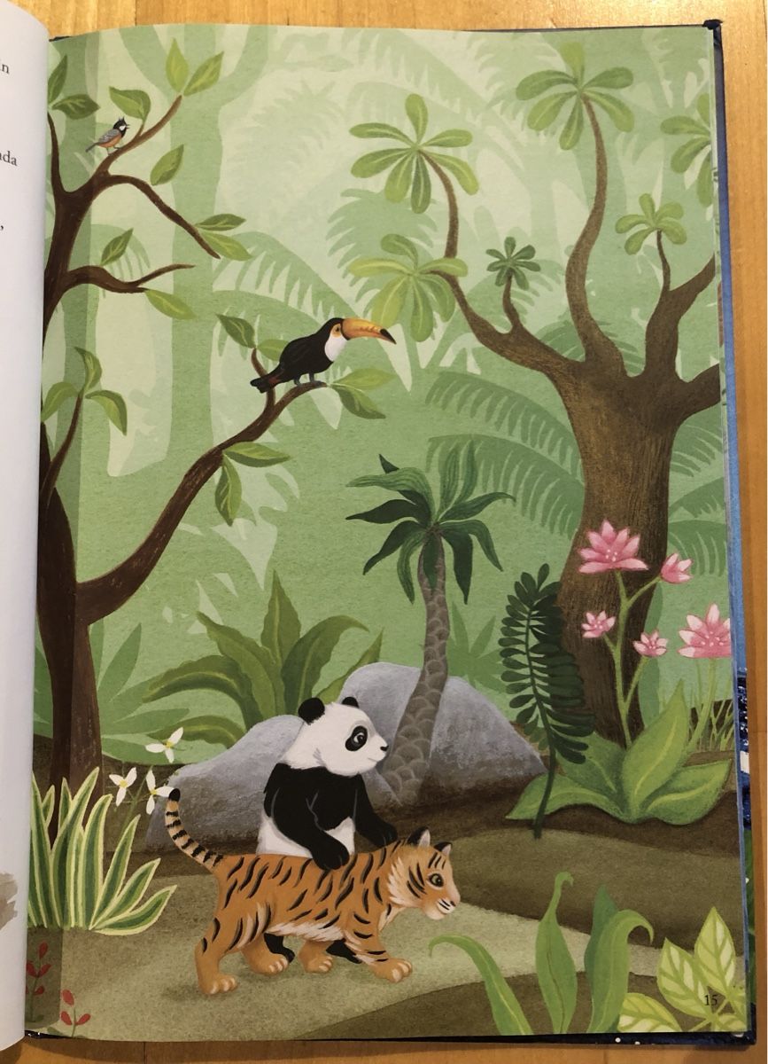 Libri: Pandas grosse Reise – Usato da Kappel SO venduto da Fabruzzi 4