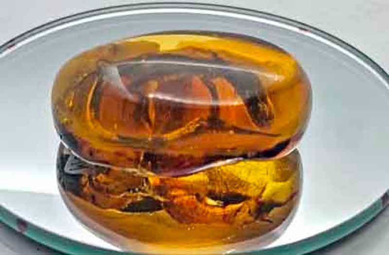 Mineralien & Heilsteine: BERNSTEIN mit Inklusion "Deko Bernstein" – Gebraucht aus Zug von urzeit