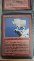 Magic the Gathering Sammelkarten 2 Stück guter Zustand