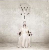 The atlas moth - The old believer