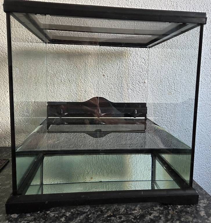 Terrario: Mini Terrarium/Aquarium – Usato da Zürich venduto da Ste87R