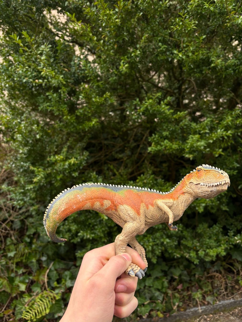 Schleich Giocattoli: Schleich Allosaurus Dinosaurier Figur. – Usato da Stäfa venduto da MazzaH 2