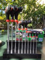 Torx Set Chrome Vanadium 10 teilig