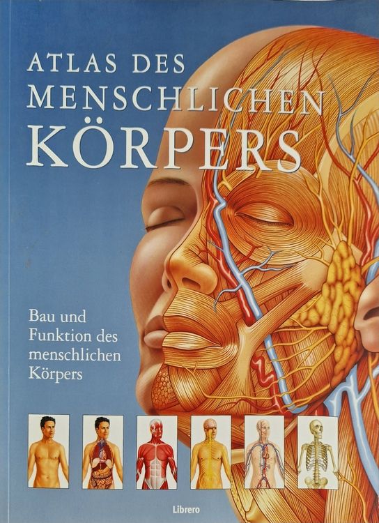 Best HD Pictures about  Teil Des Korpers 5 Buchstaben  with No AI Images