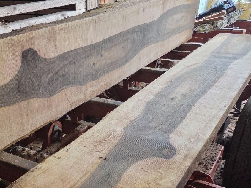 Articoli in legno: Nussbaum, Stamm, Bretter – Nuovo (secondo la descrizione) da Aettenschwil venduto da Betrieb87 5