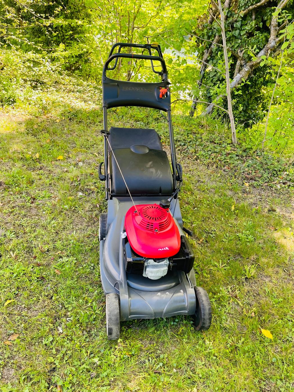 Tagliaerba: Rasenmäher Honda / Radantrieb Profi – Usato da Dietikon venduto da L.L_GmbH 1
