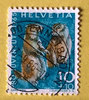 Nr.J 211 GESTEMPELT Alpenmurmeltier 1965   