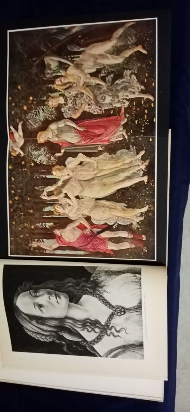 Libri: Botticelli , Bildband – Nuovo (secondo la descrizione) da Büsingen venduto da Flohminator 8