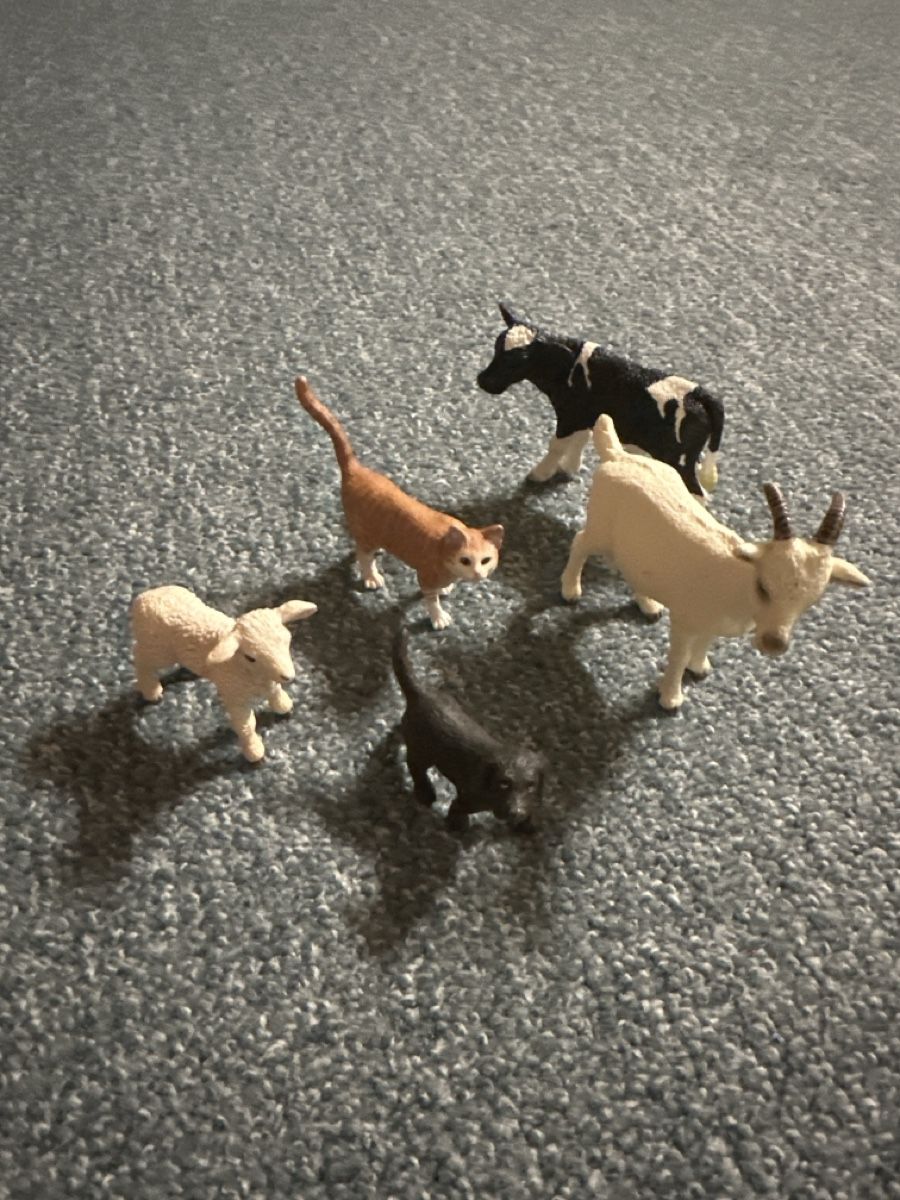 Schleich Spielzeuge: Schleichtiere/ Uhrenbuch  – Neu (gemäss Beschreibung) aus Baltschieder von YmroBe