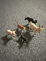Schleichtiere/ Uhrenbuch 