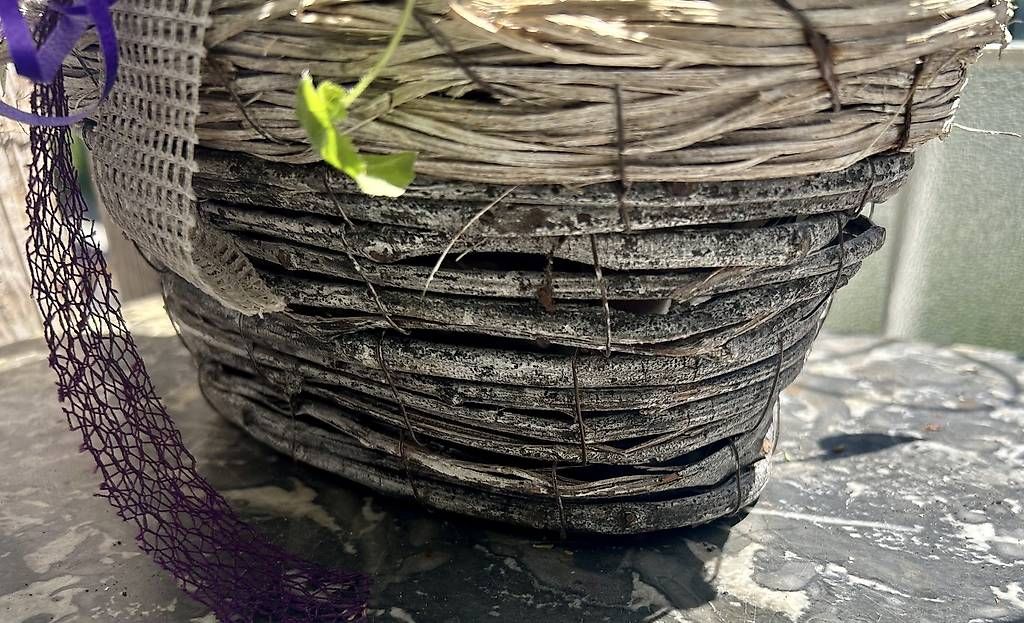 Vasi per fiori: Blumenkorb  – Usato da Frauenfeld venduto da Irene.Schuppli 3
