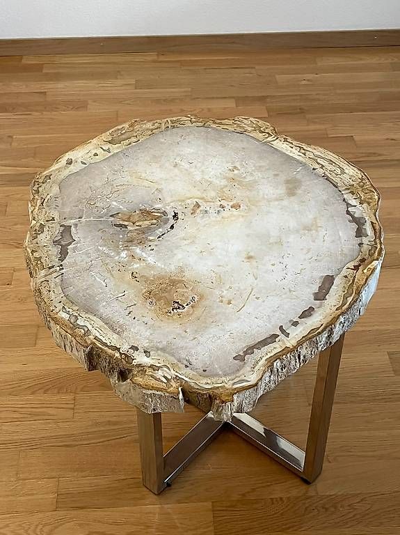 Pfister Tavoli: Couchtisch aus versteinerter Baumscheibe – Usato da Adliswil venduto da itsasecret 1