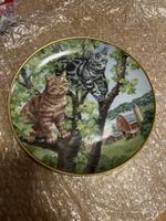 Kaiser Porzellan Wandteller "Tree View" American Cats!