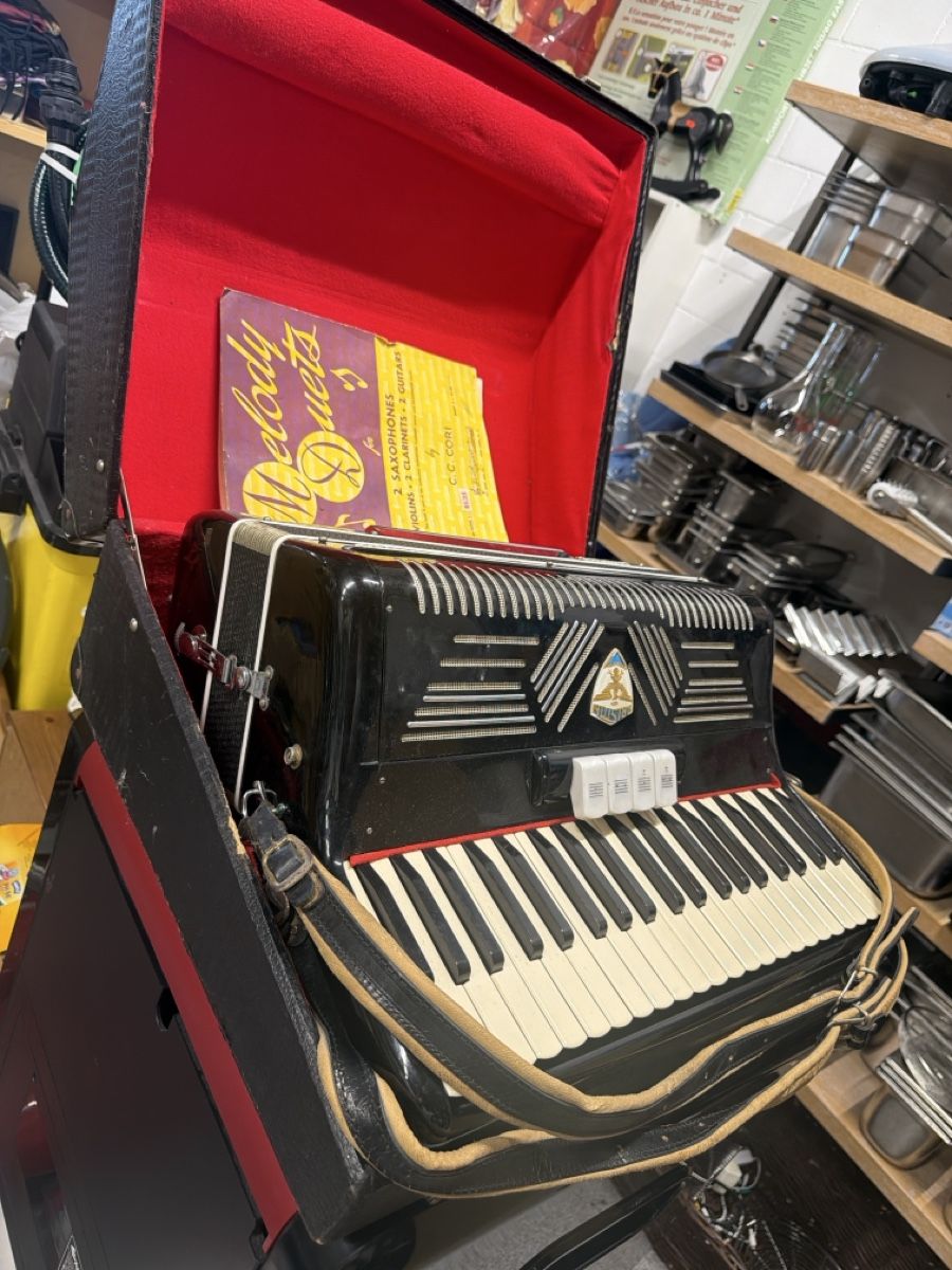 Strumenti musicali: Akkordeon Castelfidardo Ariston gebraucht – Usato da Nürensdorf venduto da Altrisa 1