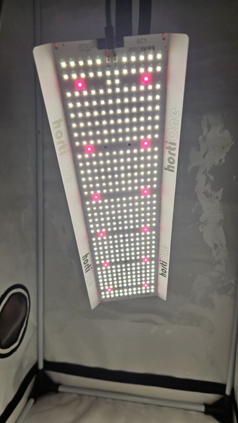 Lampes: Growlicht LED 150W  – D'occasion à Zürich par TStyle