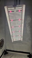 Growlicht LED 150W 