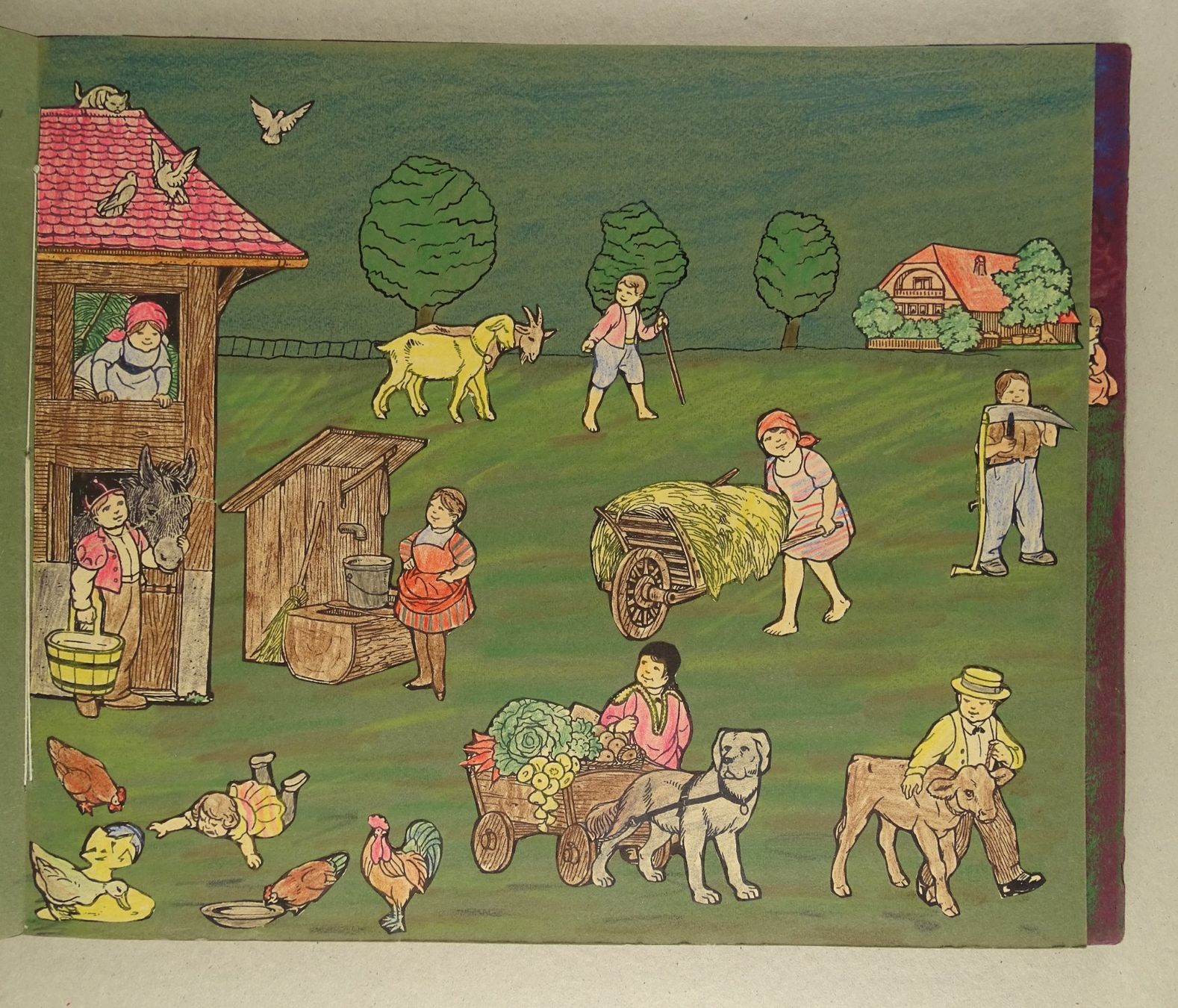 Bücher: HERBERT RIKLI: GRUPPENBILDER, KINDERBUCH UM 1910 – Gebraucht aus Grüningen von Kartensammler 5