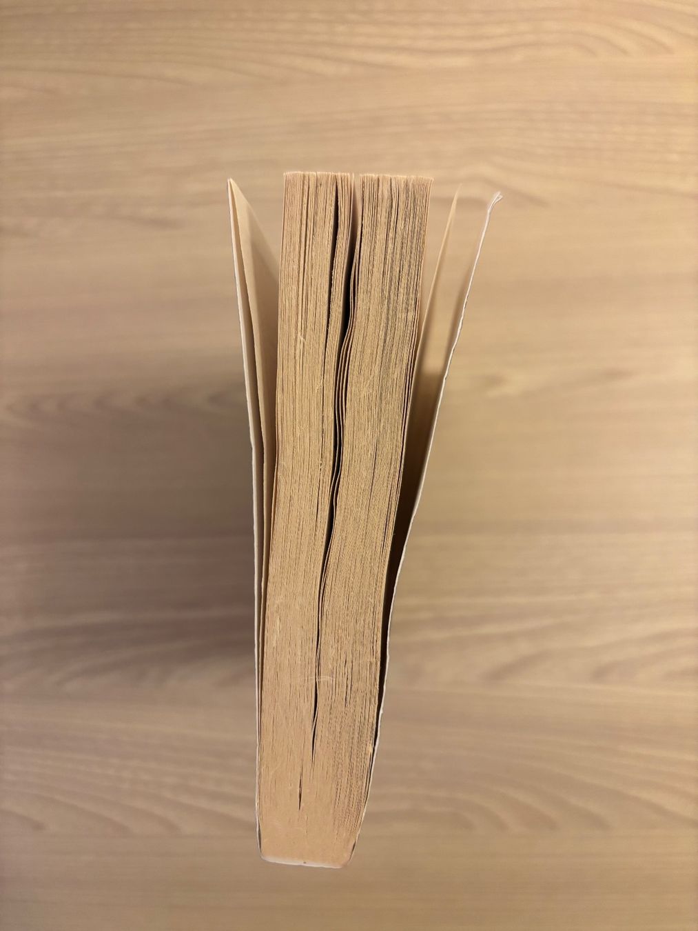Libri: Cry Freedom, John Briley – Usato da Niederrohrdorf venduto da Madoqua 3