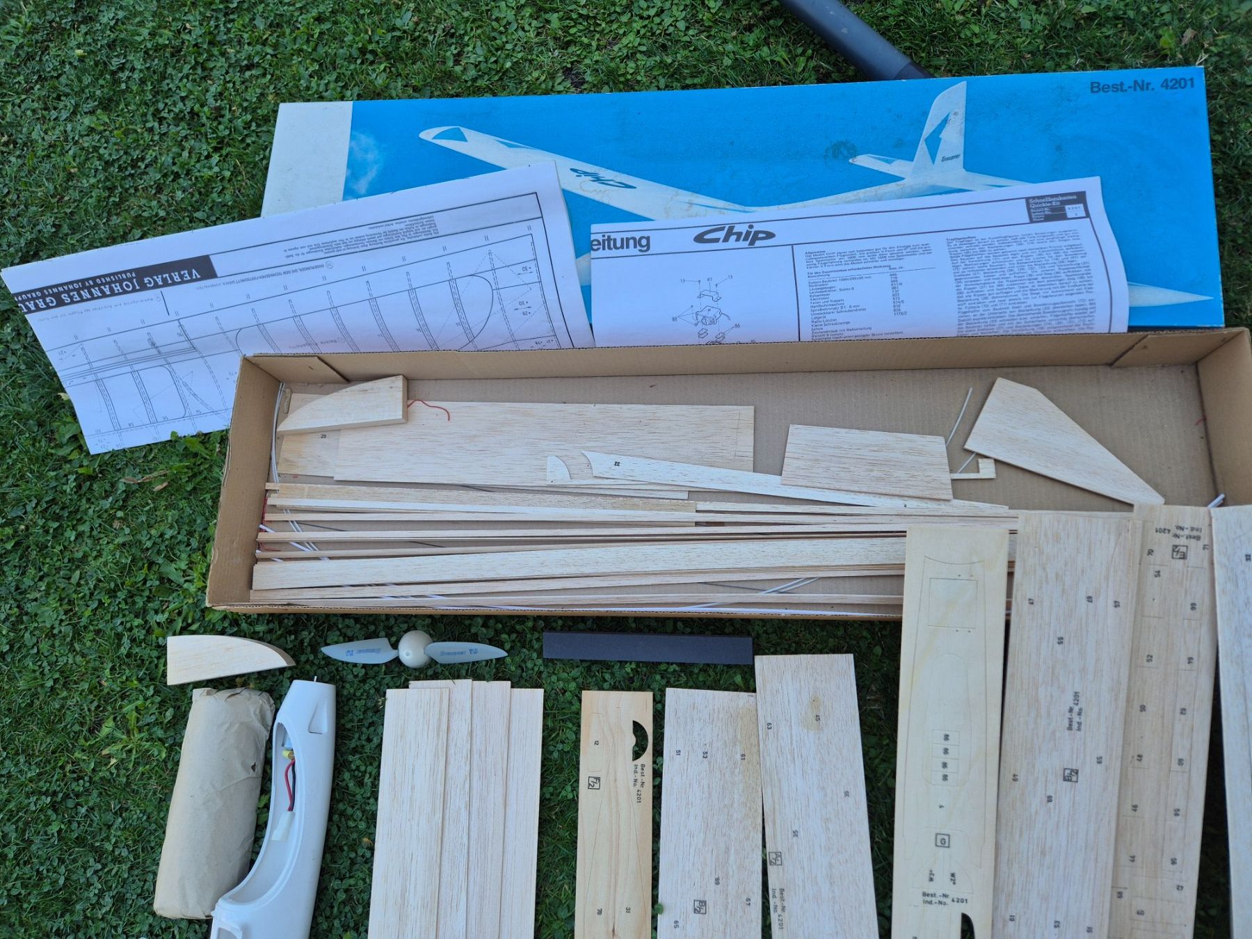 Modellismo RC: modelflugzeug – Usato da Nendeln venduto da dresinle 1