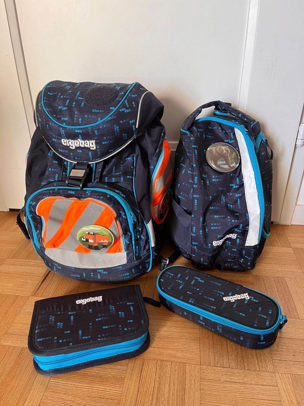 Ergobag Borse & Zaini: Ergobag Schulrucksack – Usato da Langendorf venduto da Wubri
