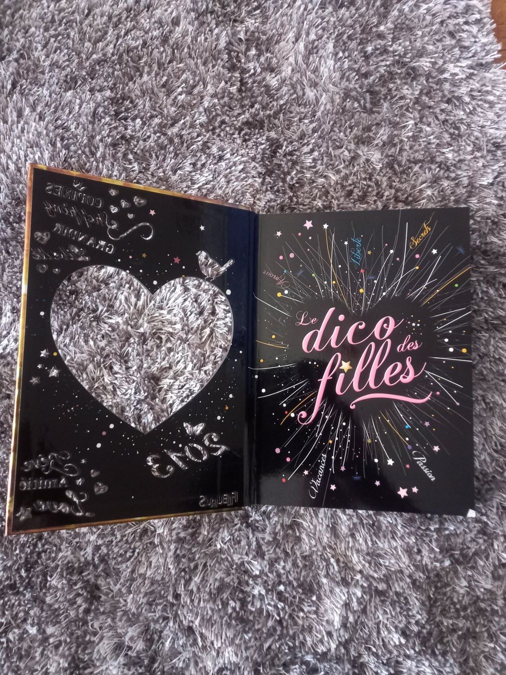 Libri: Le dico des filles – Usato da Conthey venduto da OLEN-67 2