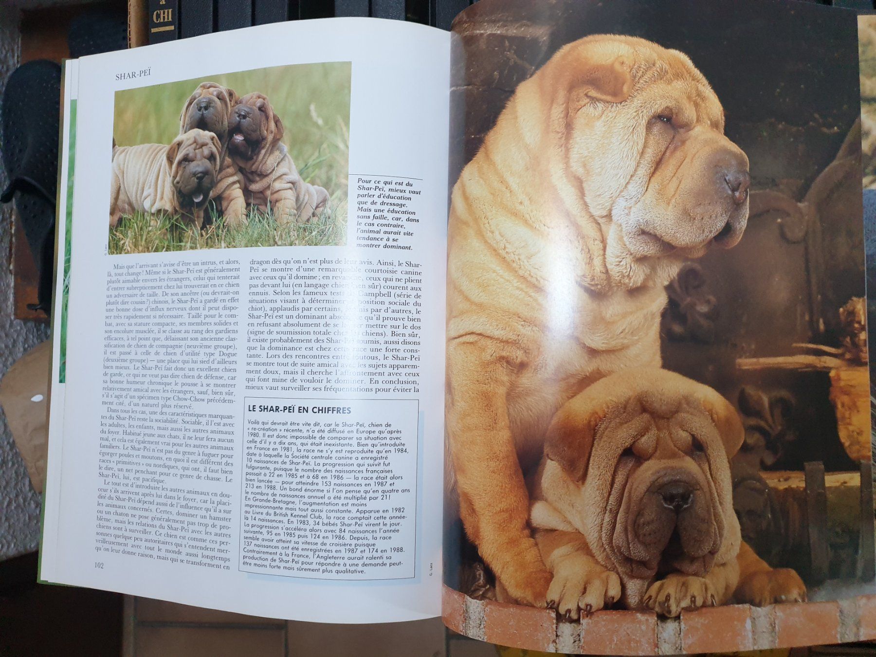 Libri: Encyclopédie sur les chiens – Usato da Chessel venduto da Durabloc 2