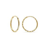 FAVS Creolen echtgold