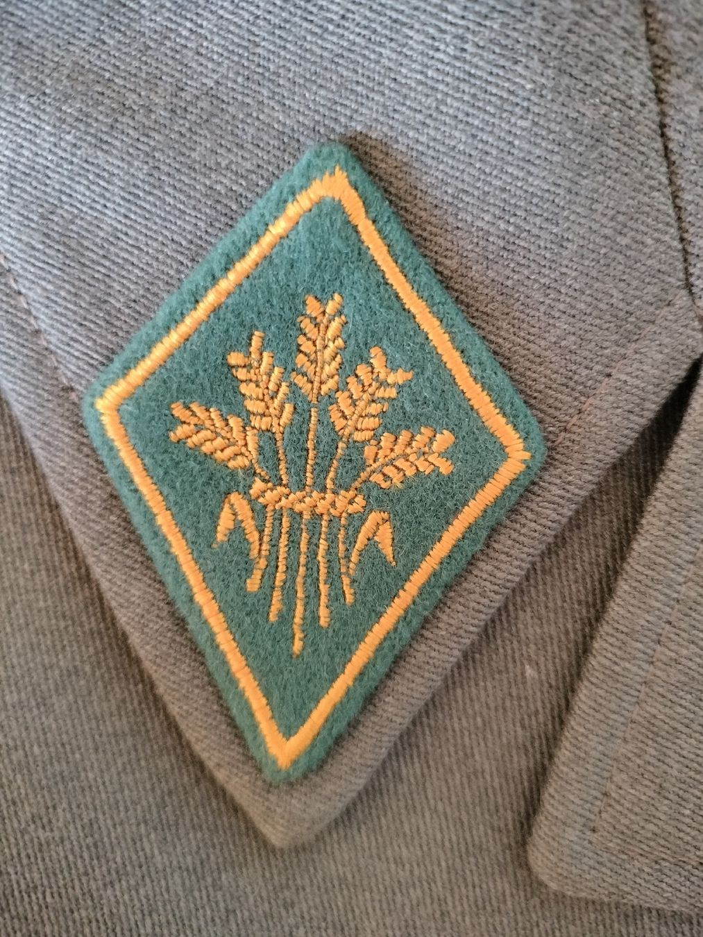 Schweizer Armee Uniformen: Schweizer Armee Militär Uniform – Gebraucht aus Schwanden Sigrisw von Wibe81 2