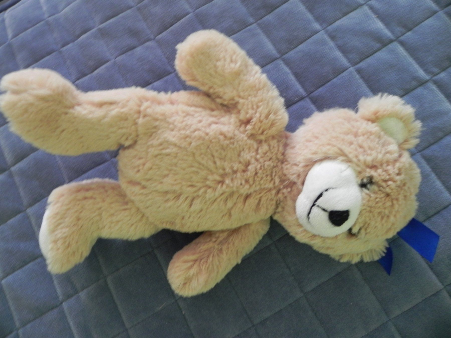 Migros Giocattoli: Teddy Migros Bär Plüschtier – Usato da Stallikon venduto da pcerny16 2