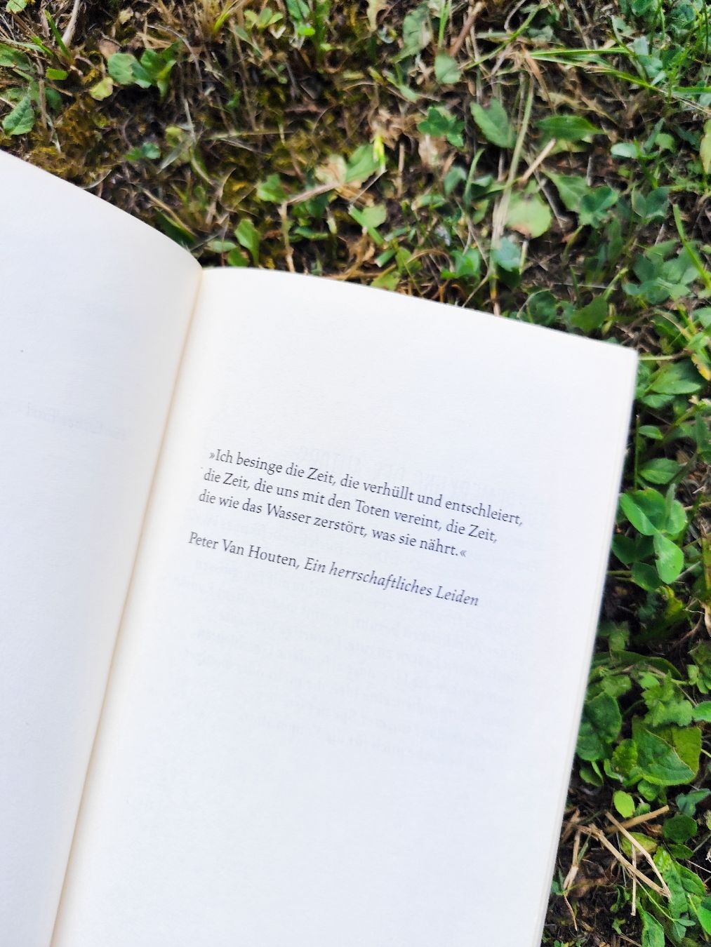 Libri: John Green Das Schicksal ist ein mieser Verräter – Usato da Mägenwil venduto da VintageGirly 6