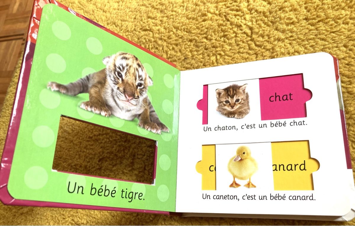 Bücher: Petit album sur les animaux – Neu und originalverpackt aus Ardon von hel_2sxp 3