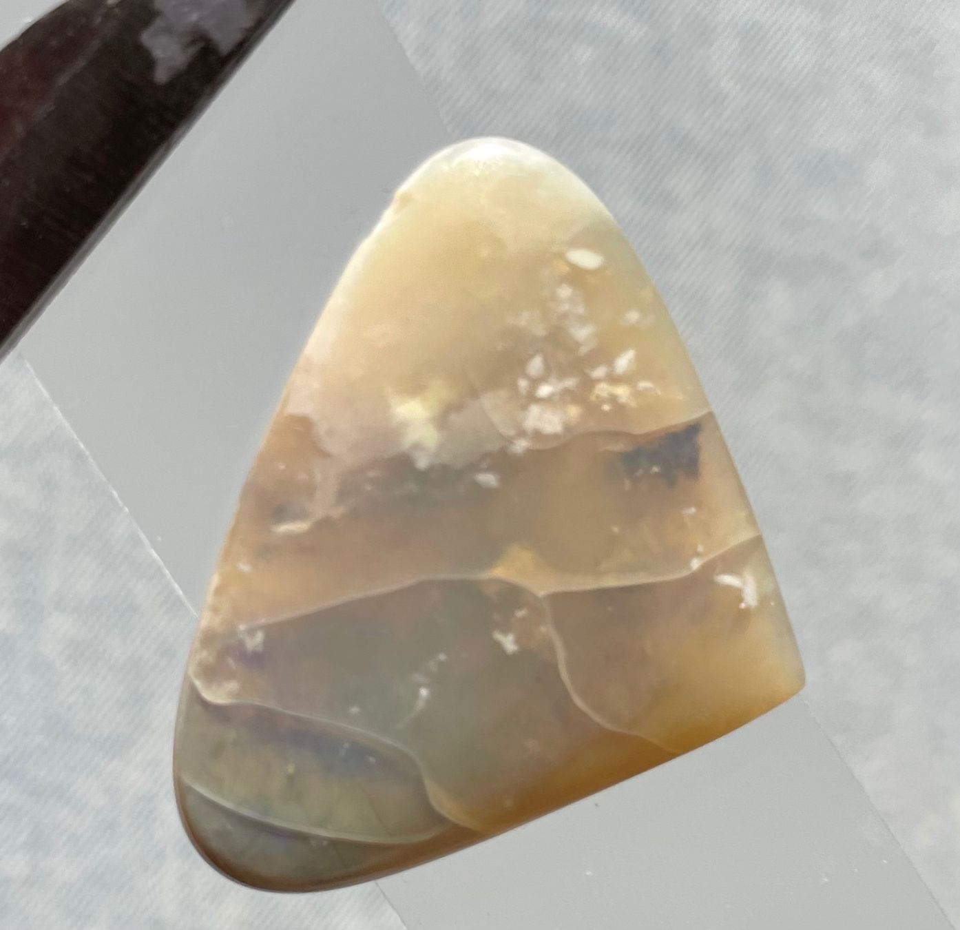 Fossilien: 5 Stk  Cabochons Opal echt  neu gross    LOT  Sammlung – Neu und originalverpackt aus Leuggern von gemshow 1