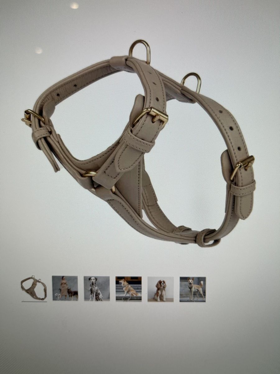 Abbigliamento: Leder-Hundegeschirr – Usato da Niederdorf venduto da Fay1993