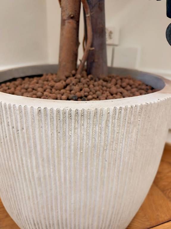 Pots de fleurs: Pflanzentopf – Neuf avec emballage d'origine à Widen par Stephan_M_84
