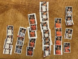 CocaCola x panini FIFA WorldCup Sammelbilder Konvolut