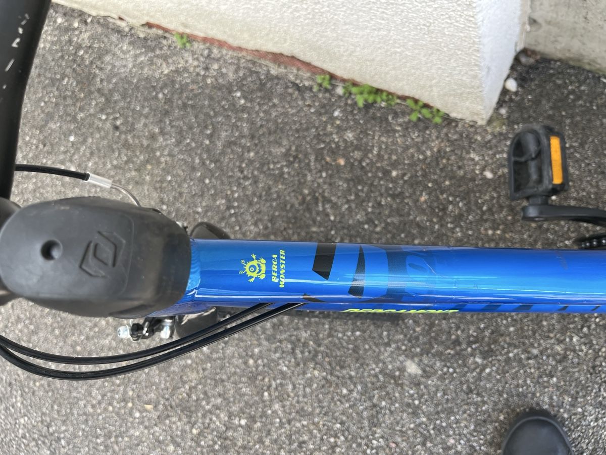 Bergamont Biciclette: Kindervelo Bergamont – Usato da Bremgarten b. Bern venduto da vezia79 3