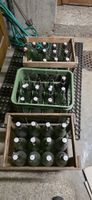 Glasflaschen mit Bügelverschluss