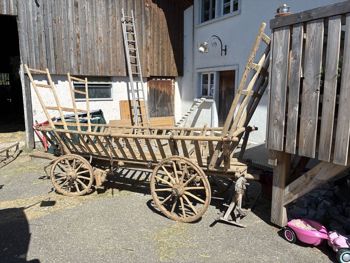 Remorques: Holzwagen – Défectueux à Bäretswil par gra_6mx2