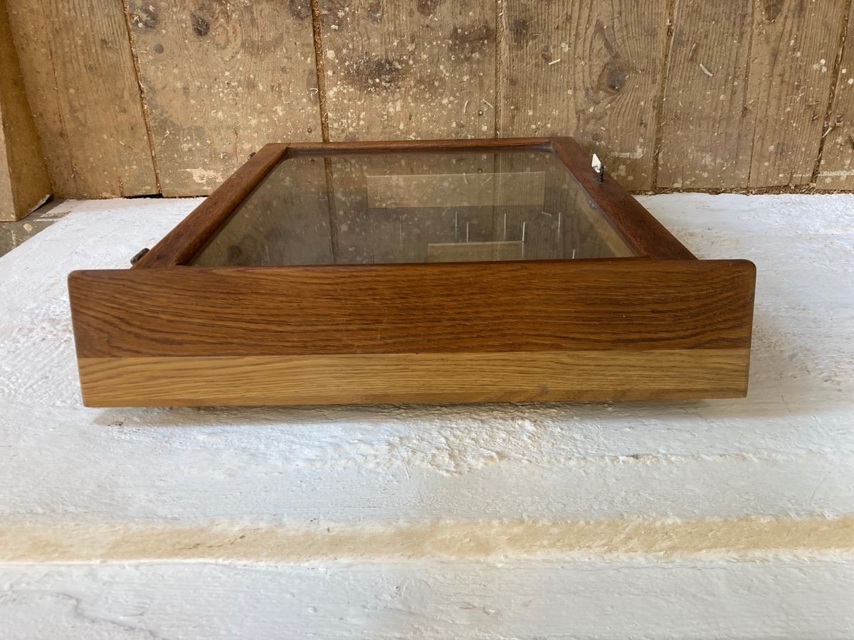 Vitrinen: WANDVITRINE VITRINE MAGNETISCH – Gebraucht aus Bottmingen von Surubi 1