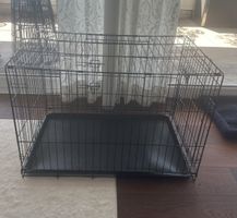 Hundebox klappbar, Metall schwarz - neu