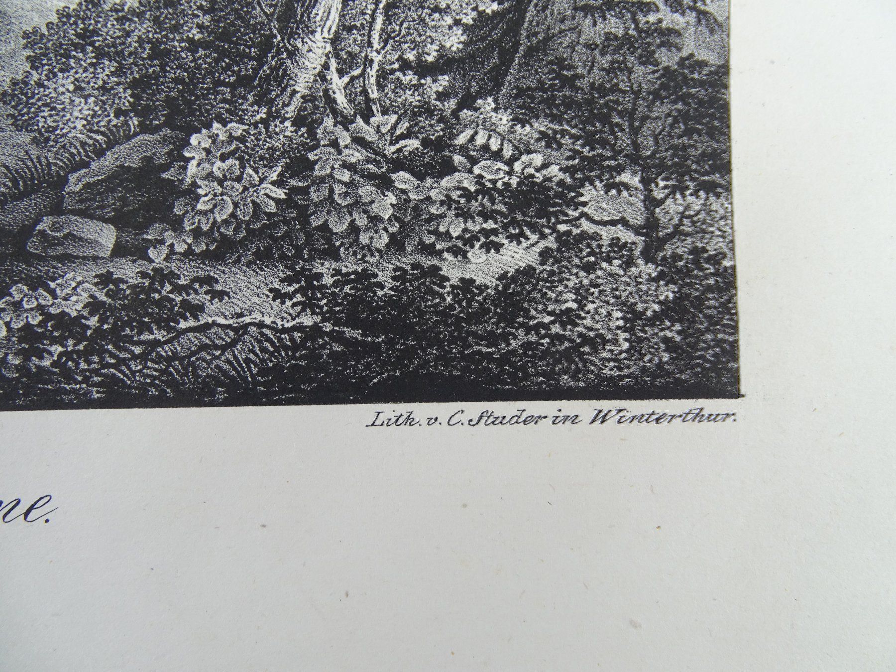 Incisioni: LAUSANNE, LITHOGRAPHIE 1836 – Usato da Grüningen venduto da Kartensammler 3