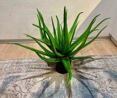 Aloe Vera Kunstpflanze, ca. 75cm hoch!