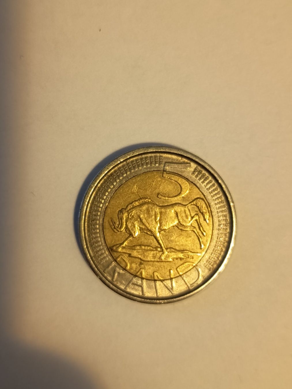 Tutti le monete: 5 rand 2004   nr 420 – Usato da Wattwil venduto da LuckyLegoandCoins 1