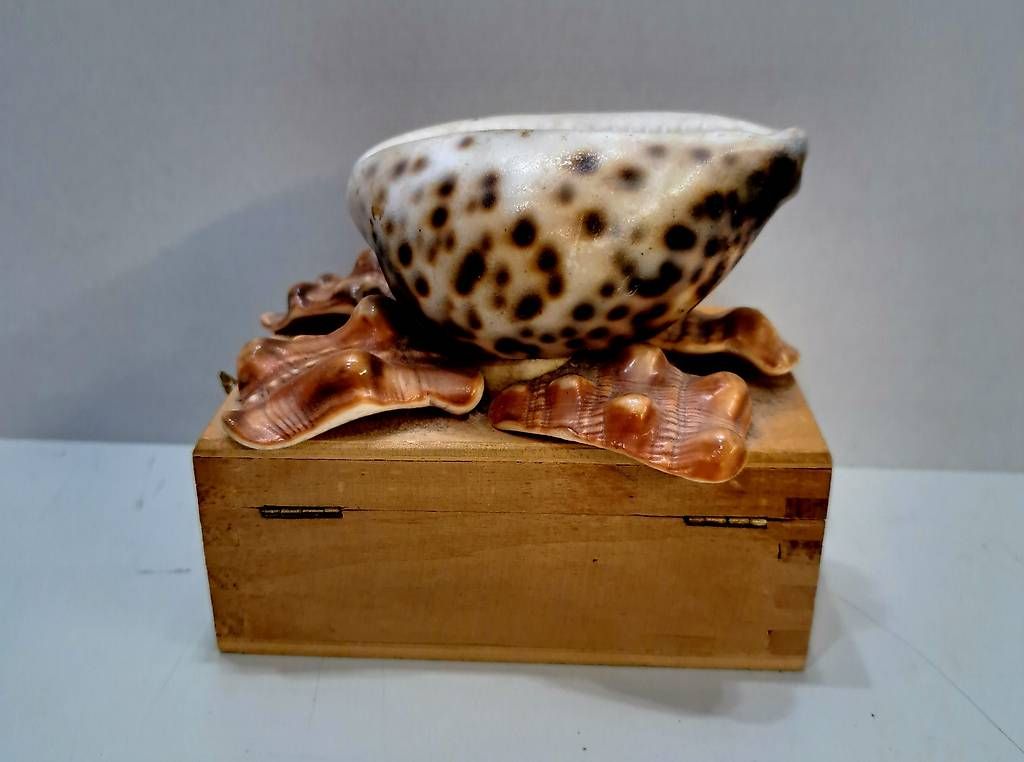 Portagioie: Schmuckschatulle aus Holz – Usato da Zürich venduto da aiman3333 1