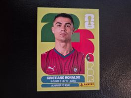 Panini WM 26 POR 15