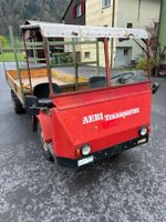 Aebi TP 1000