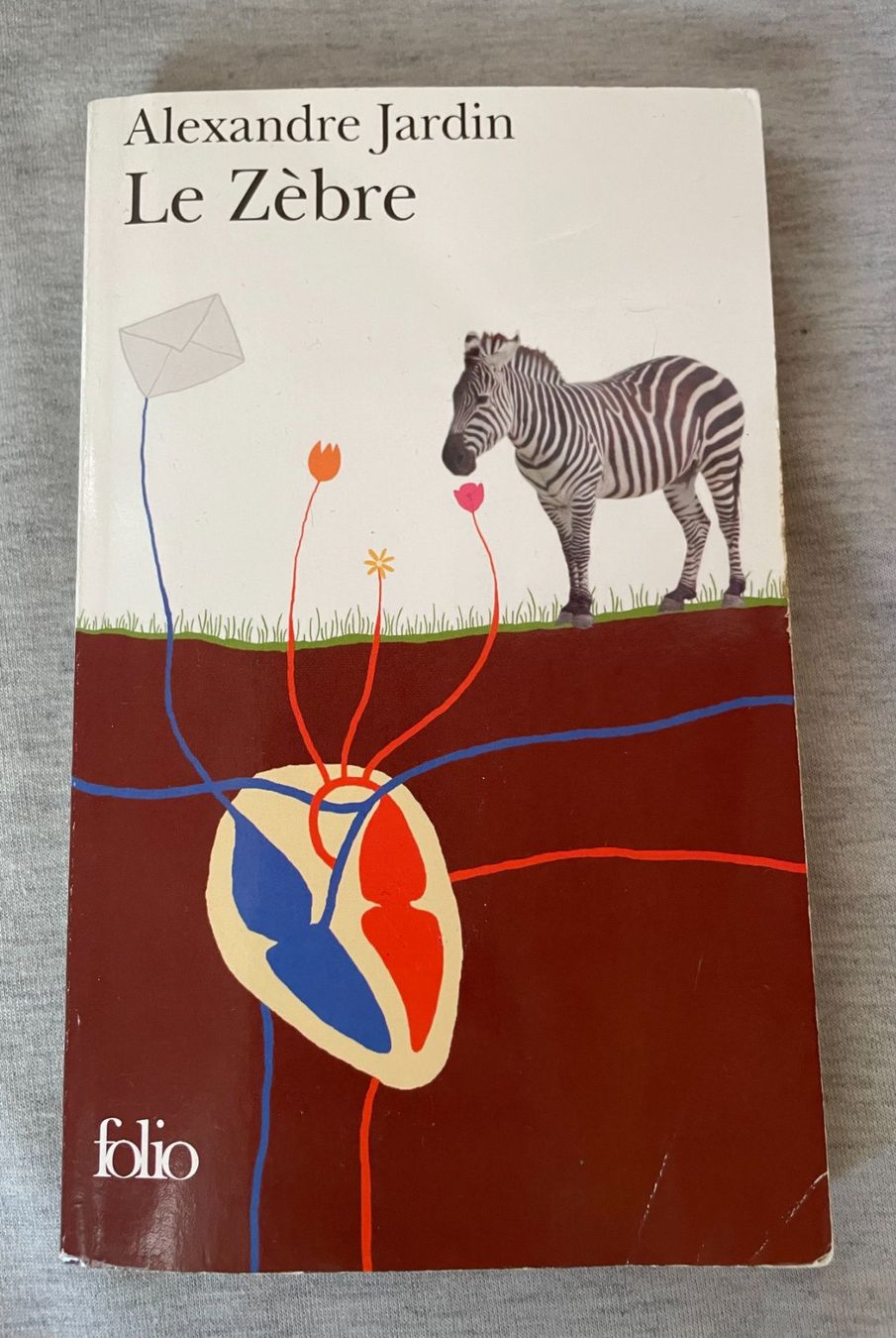 Bücher: Le Zèbre – Gebraucht aus Erde von EmilieDess